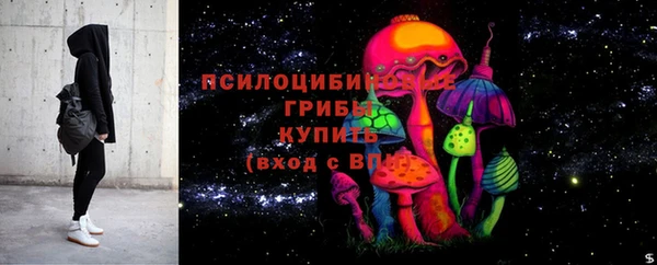 тгк Абинск