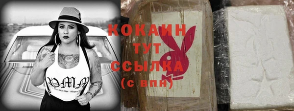 индика Абаза