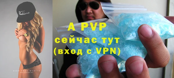 индика Абаза