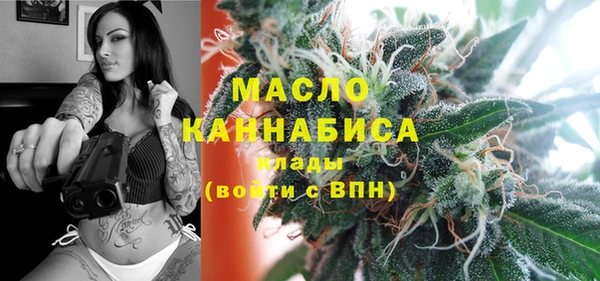 индика Абаза