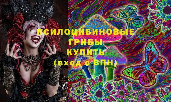 индика Абаза