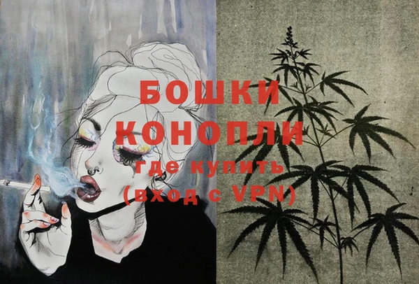 индика Нефтегорск