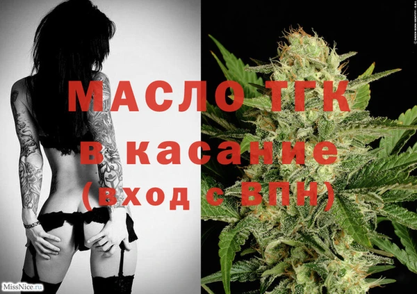 индика Абаза