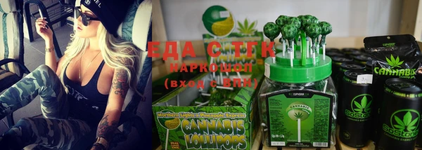индика Абаза